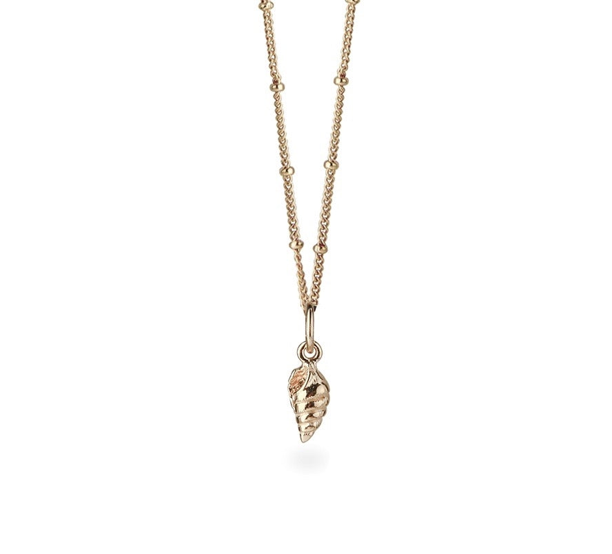 VINTAGE SEASHELL