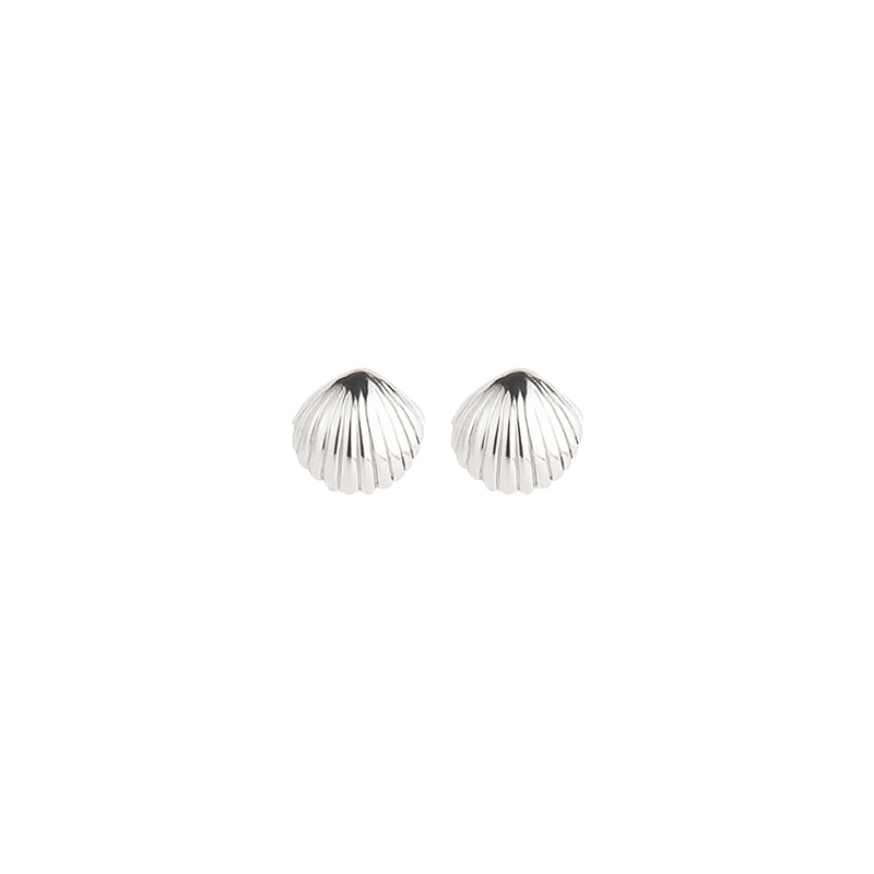 SEASHELL CALLOP STUDS